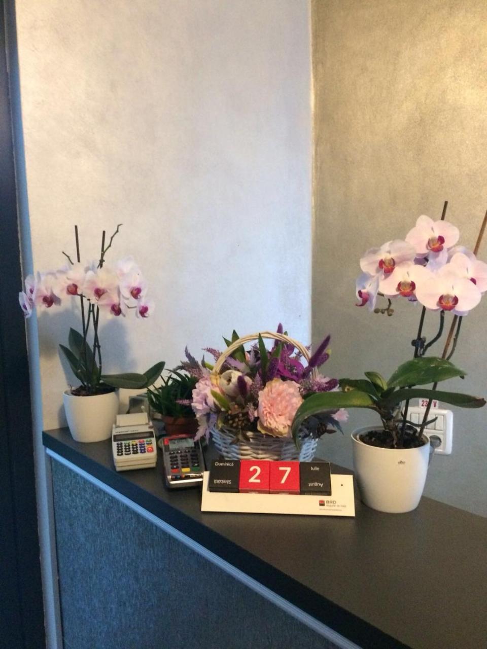 Cittadini Residence Năvodari Eksteriør billede